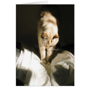 Rise und Shine