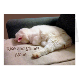 Rise und Shine? Nein.