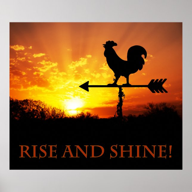 Rise und Shine! Poster (Vorne)