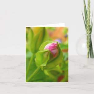Risiko zur Blüte Karte