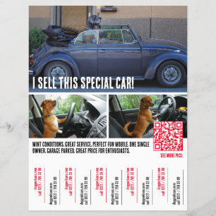 Riss des Tears Car Selling Flyer