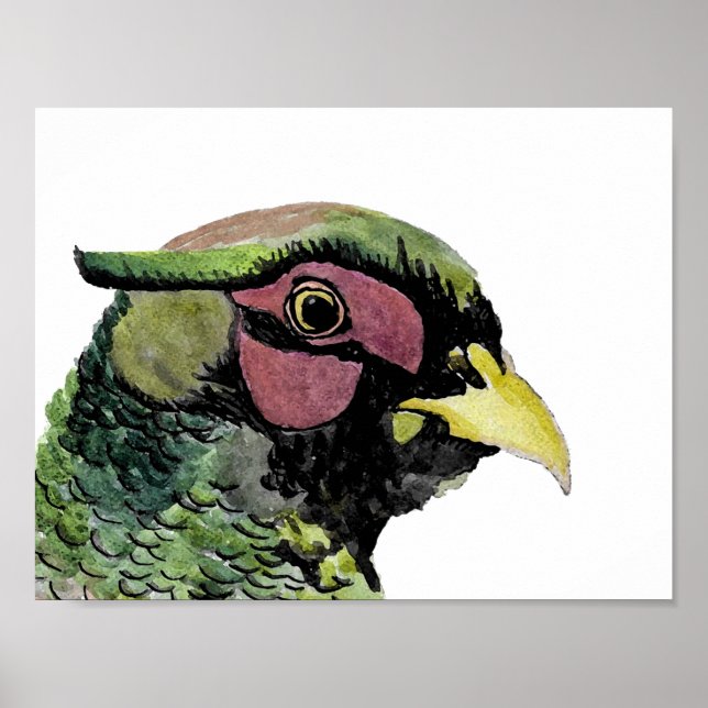 Ritratto di Fagiano Poster (Vorne)