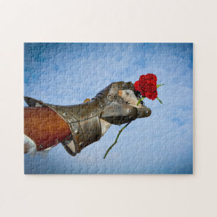 Ritter mit einem Herzen, Hand mit einer roten Rose