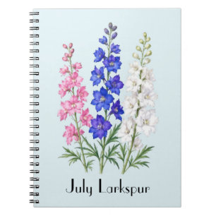 Ritterspornblumen im Juli Notizblock