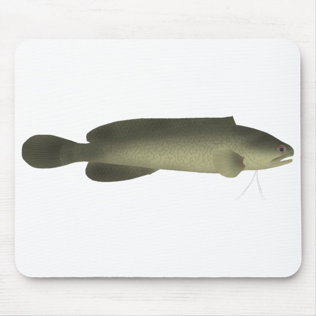 River Blackfish Print, Value Poster Paper (Matte) Mousepad (Vorne)