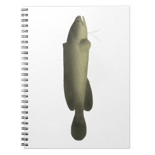 River Blackfish Print, Value Poster Paper (Matte) Notizblock