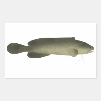 River Blackfish Print, Value Poster Paper (Matte) Rechteckiger Aufkleber