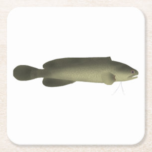 River Blackfish Print, Value Poster Paper (Matte) Rechteckiger Pappuntersetzer