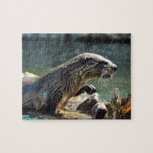 River Otter Animal-Lover's Wildlife Foto