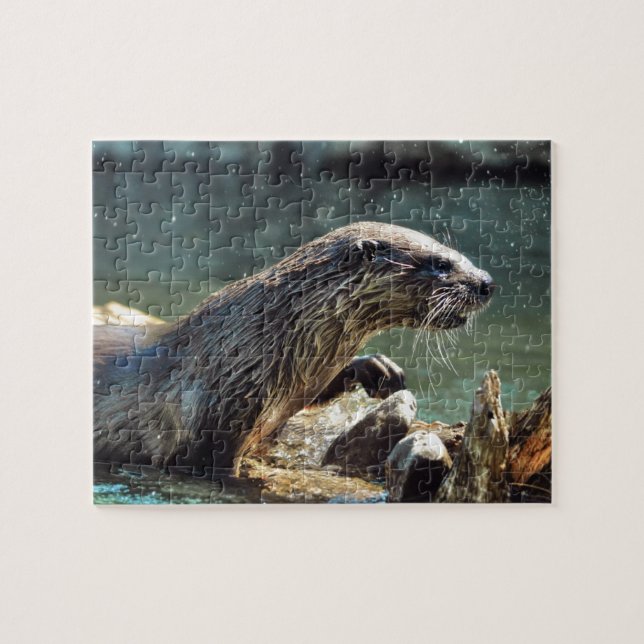 River Otter Animal-Lover's Wildlife Foto (Horizontal)