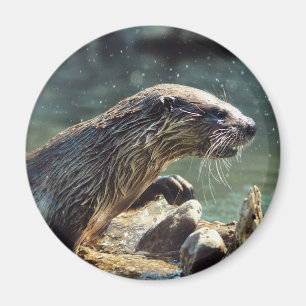 River Otter Animal-Lover's Wildlife Foto Magnet