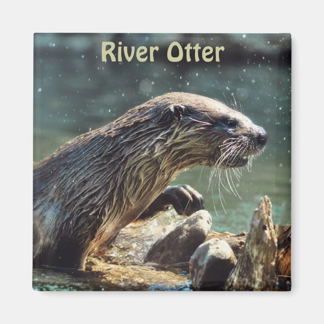 River Otter Animal-Lover's Wildlife Foto Magnet (Vorne)