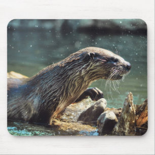 River Otter Animal-Lover's Wildlife Foto Mousepad