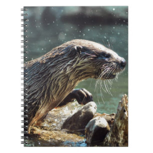 River Otter Animal-Lover's Wildlife Foto Notizblock