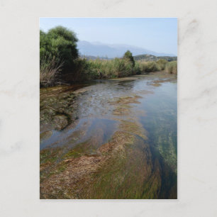 River Scene Postcard Postkarte