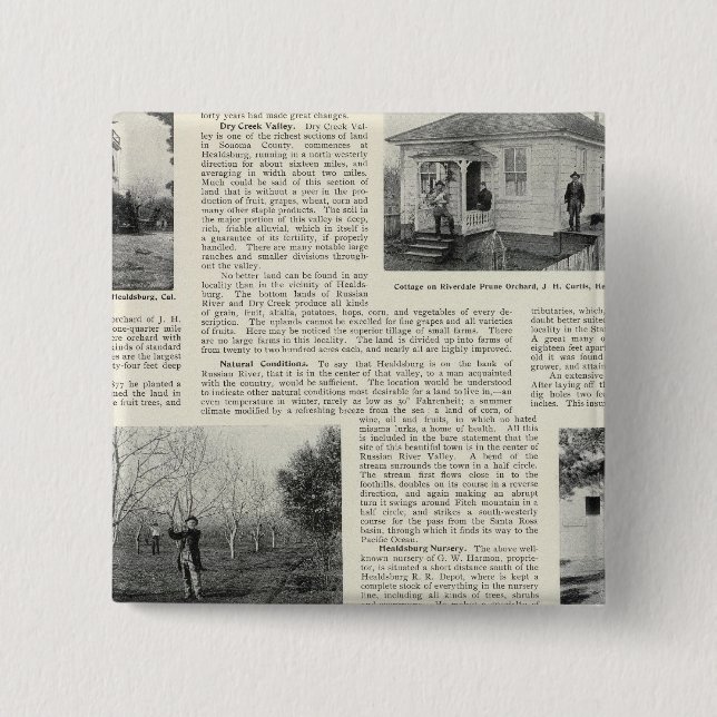 Riverdale Prune Orchard, Kalifornien Button (Vorderseite)
