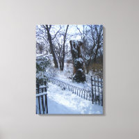 Riverside Park NYC Snow Winter Tree New York Foto
