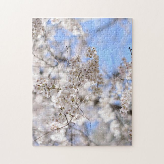 Riverside Park Spring Cheroms New York NYC (Vertikal)