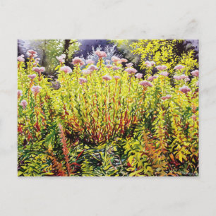 Riverside Spate Summer Postkarte