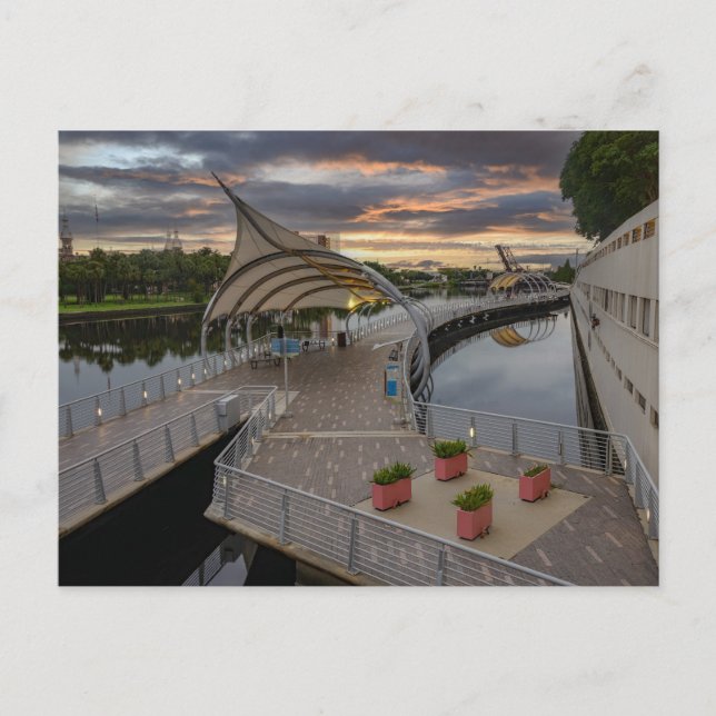 Riverwalk über Tampa Feiertagspostkarte (Vorderseite)