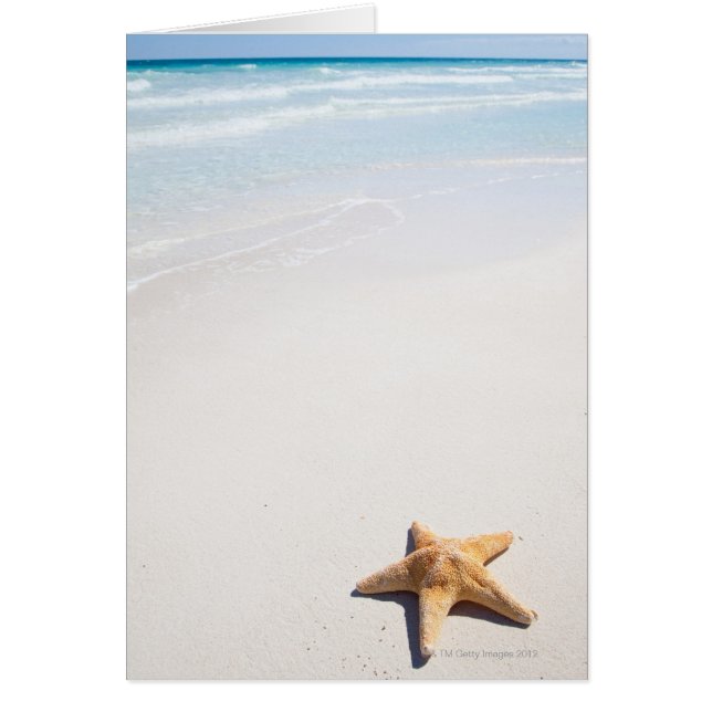 Riviera Maya (Vorne)