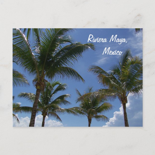 Riviera Maya Cancun Mexiko Karibik Palmen Postkarte (Vorderseite)