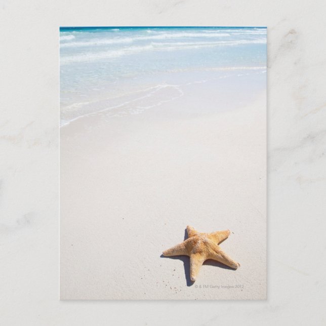 Riviera Maya Postkarte (Vorderseite)