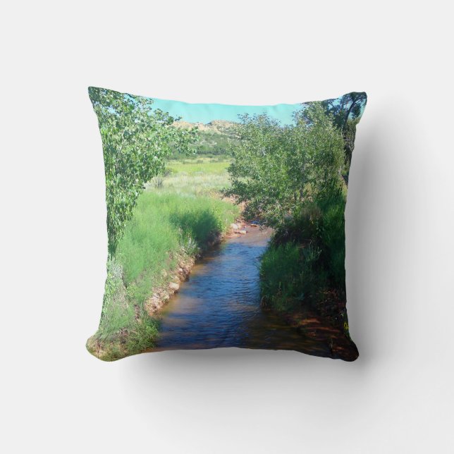 Rivière et Coussin vert (Recto)