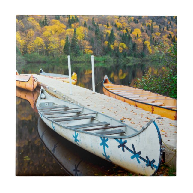Rivière Jacques-Cartier | Rabaskas Dock Fliese (Vorderseite)