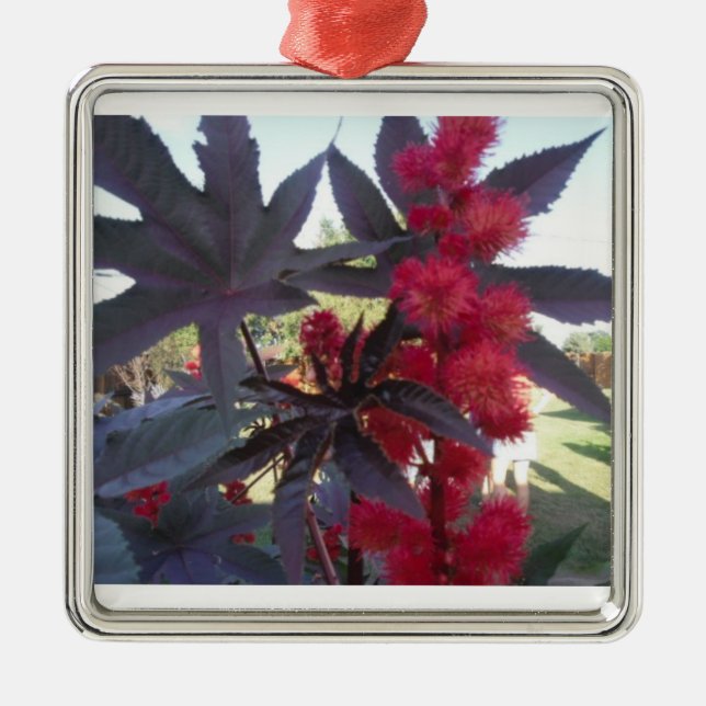 Rizinuspflanze-Weihnachtsverzierung Silbernes Ornament (Vorne)