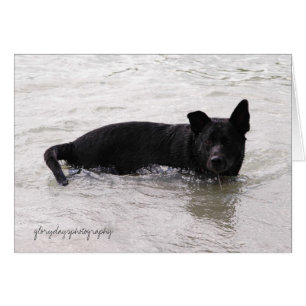 Rizzo, das den See genießt