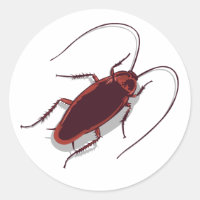 Roach!