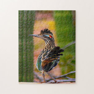 Road Runner Arizona.