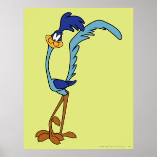 ROAD RUNNER™ Farbe Poster