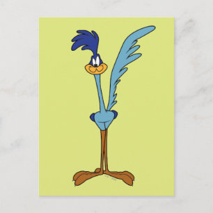 ROAD RUNNER™ in Farbe Postkarte