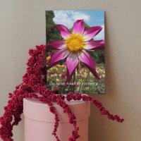 Road to Recovery Pink Dahlia Floral Get Well
