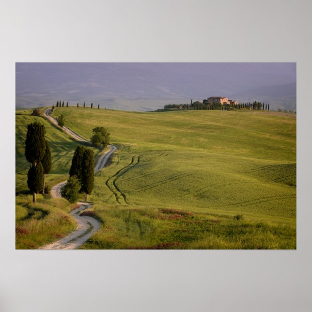 Road to Terrapille in Tuscany poster (Vorne)