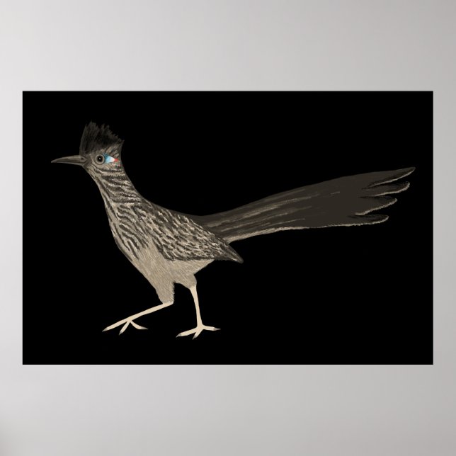 Roadrunner Colored Pencil zeichnend auf schwarz Poster (Vorne)