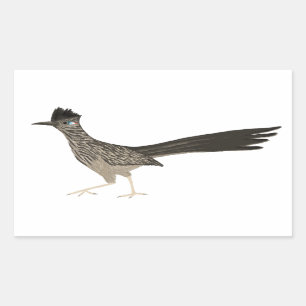Roadrunner farbiges Bleistiftzeichnen Rechteckiger Aufkleber