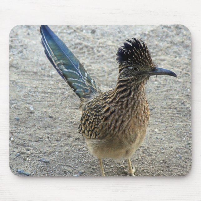 Roadrunner Mousepad (Vorne)
