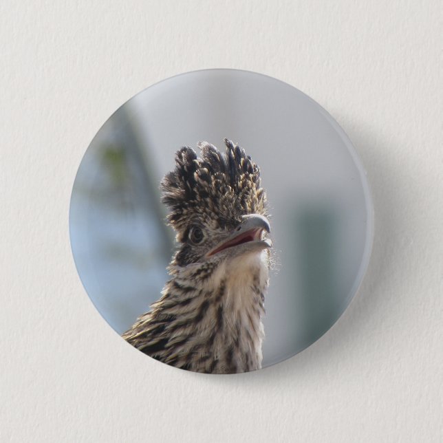 Roadrunner-Nahaufnahme Button (Vorderseite)