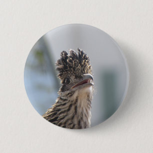 Roadrunner-Nahaufnahme Button