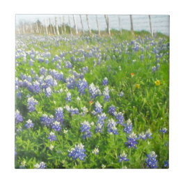 Roadside Bluebonnets Fliese