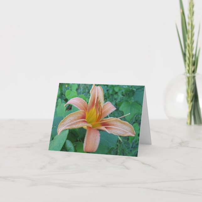 Roadside Delicity Note Card Karte (Vorderseite)