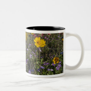 Roadside Wildblumen in Texas, Frühjahr Zweifarbige Tasse