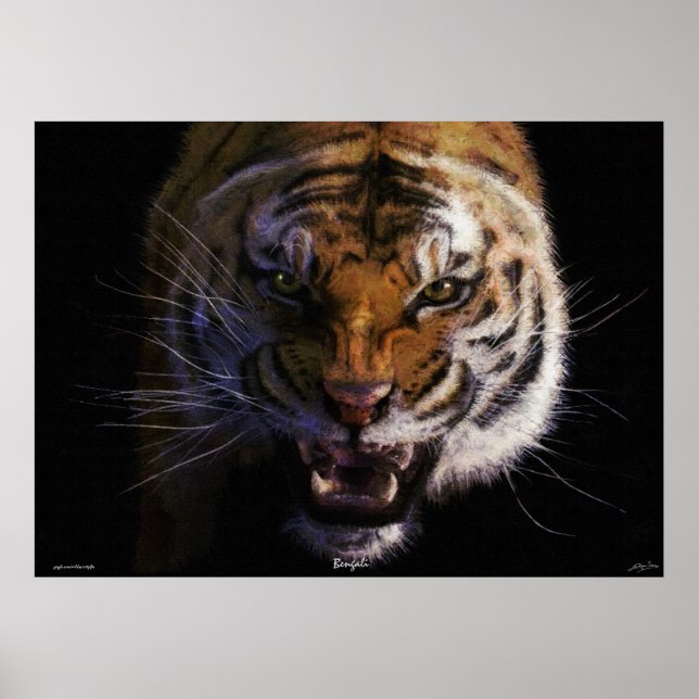 Roaming Bengalisch Tiger Fine Art Poster (Vorne)
