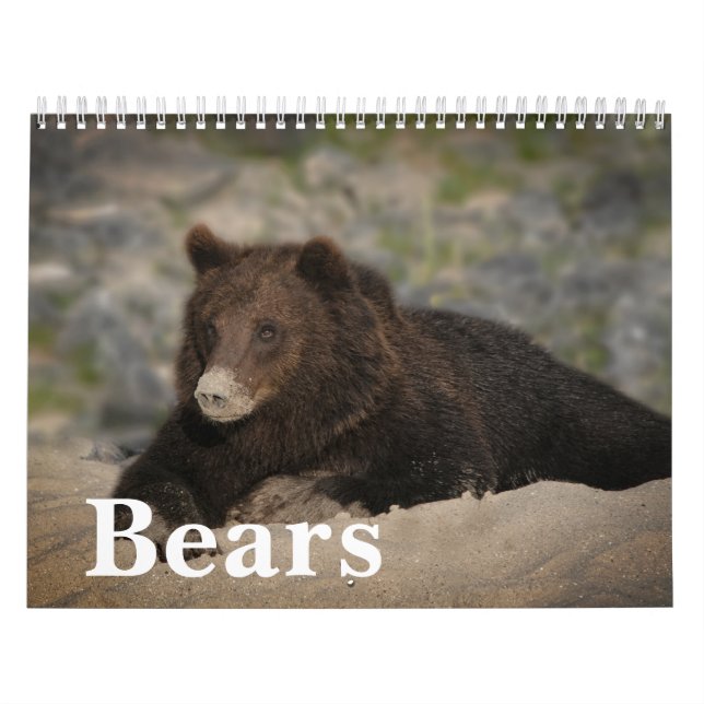 Roaming mit Giganten - Ein Grizzy Bären Kalender (Titelbild)