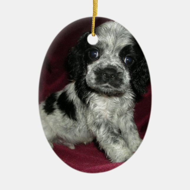 roan Amerikaner-cocker spaniel-Welpe, Apollo Keramikornament (Vorne)