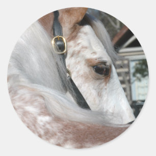 Roan gehendes Pferd Runder Aufkleber