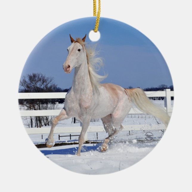 Roan in Snow Keramik Ornament (Vorne)